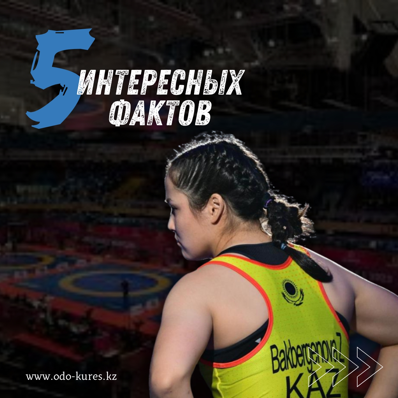 Эротикалық күрес әйелдердің сексуалдық күресі