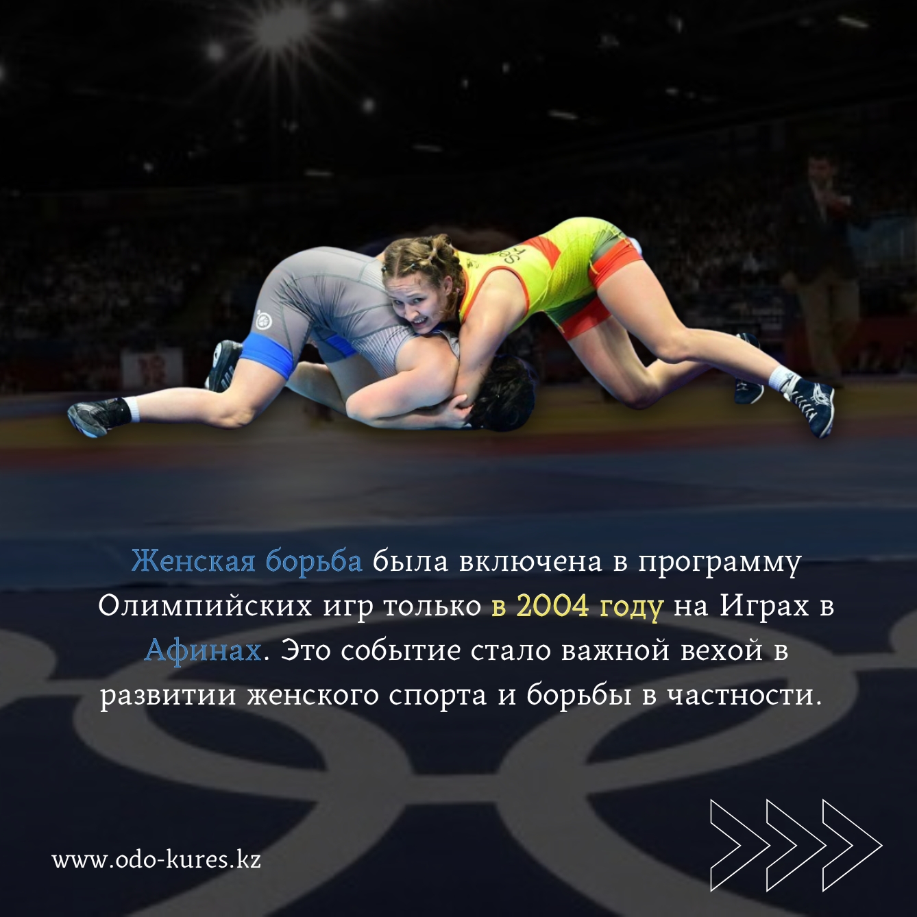 Жыныстық қатынасқа арналған гамак