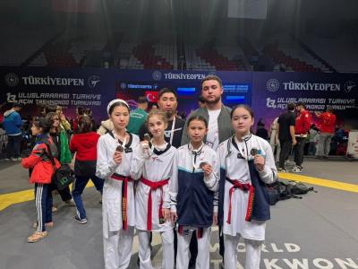 Results of the Turkish Open International Cadet Taekwondo Tournament